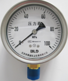 北京布莱迪BLD&brighty PP 膜片、PM 膜盒系列压力表